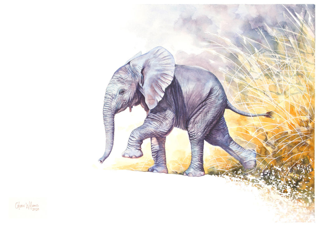 Coleen Williams-Africas Babies-Ellie