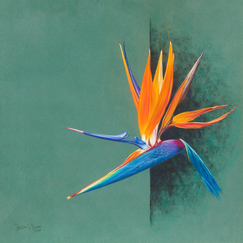 Coleen Williams-Flames of Paradise
