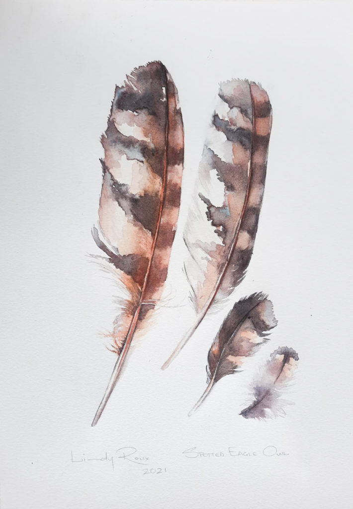 Lindy Roux-Flight Feathers Eagle Owl
