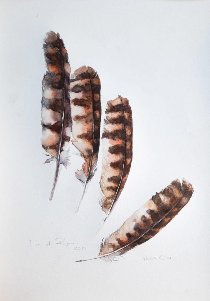 Lindy Roux-Flight Feathers Wood Owl