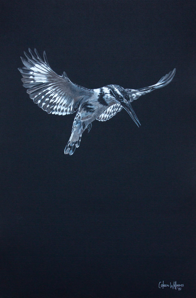 Coleen Williams-Kings on High1