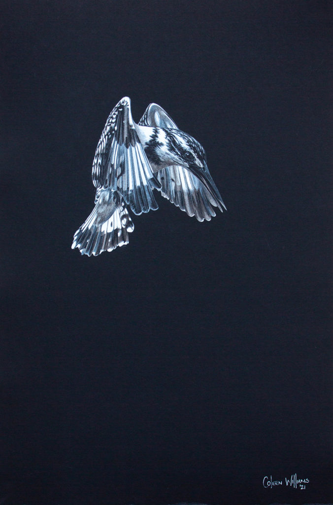 Coleen Williams-Kings on High2