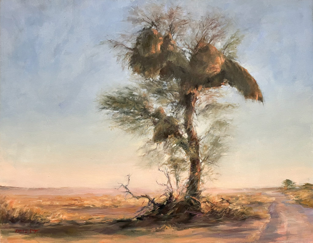 Karin Kruger-Kgalagadi Identity
