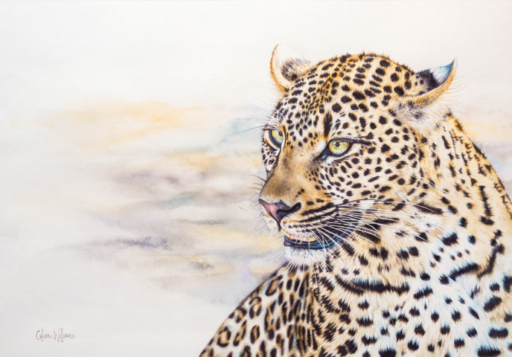 Coleen Williams - Basile