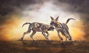 Coleen Williams - Dawn Dust Dance